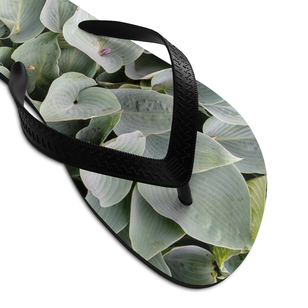 Flip-Flops 08: Foliage!