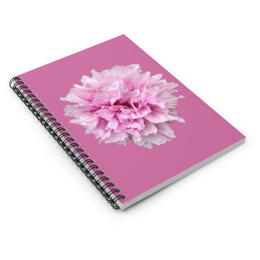 Spiral Notebook 22: Carnation!