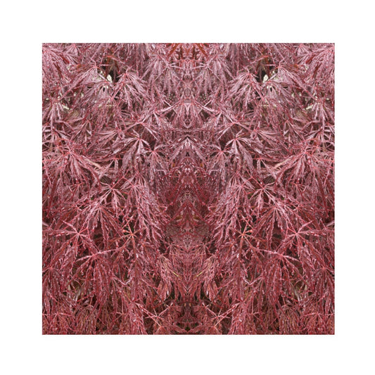 Four-Piece Dinner Napkins 01: Ruddy Foliage