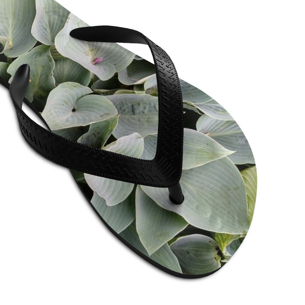 Flip-Flops 08: Foliage!