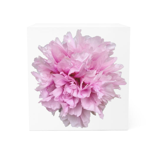 Note Cube 12: Carnation!
