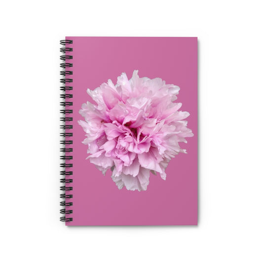 Spiral Notebook 22: Carnation!